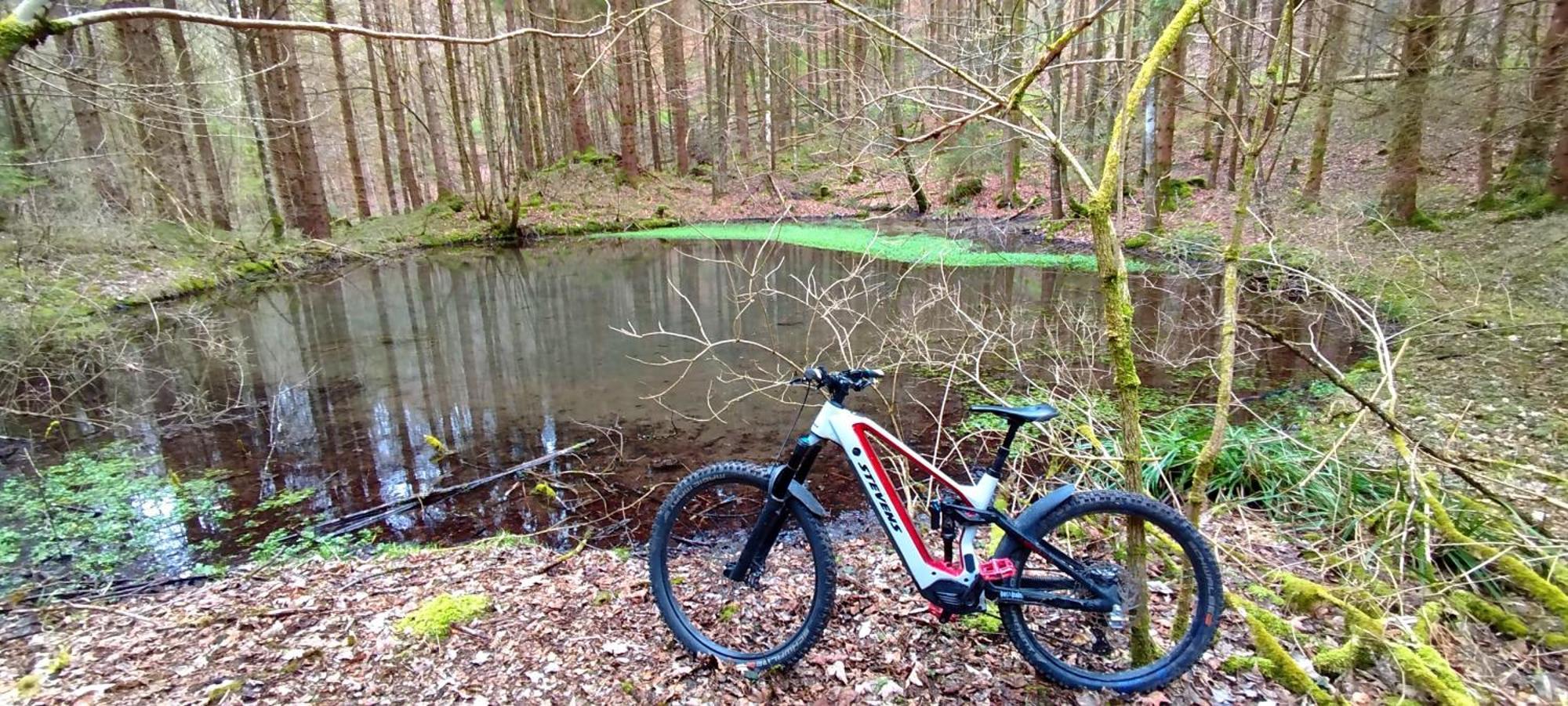 Wolfegg Ferienwohnung Hecht - Biketrail Fun & Relaxing מראה חיצוני תמונה