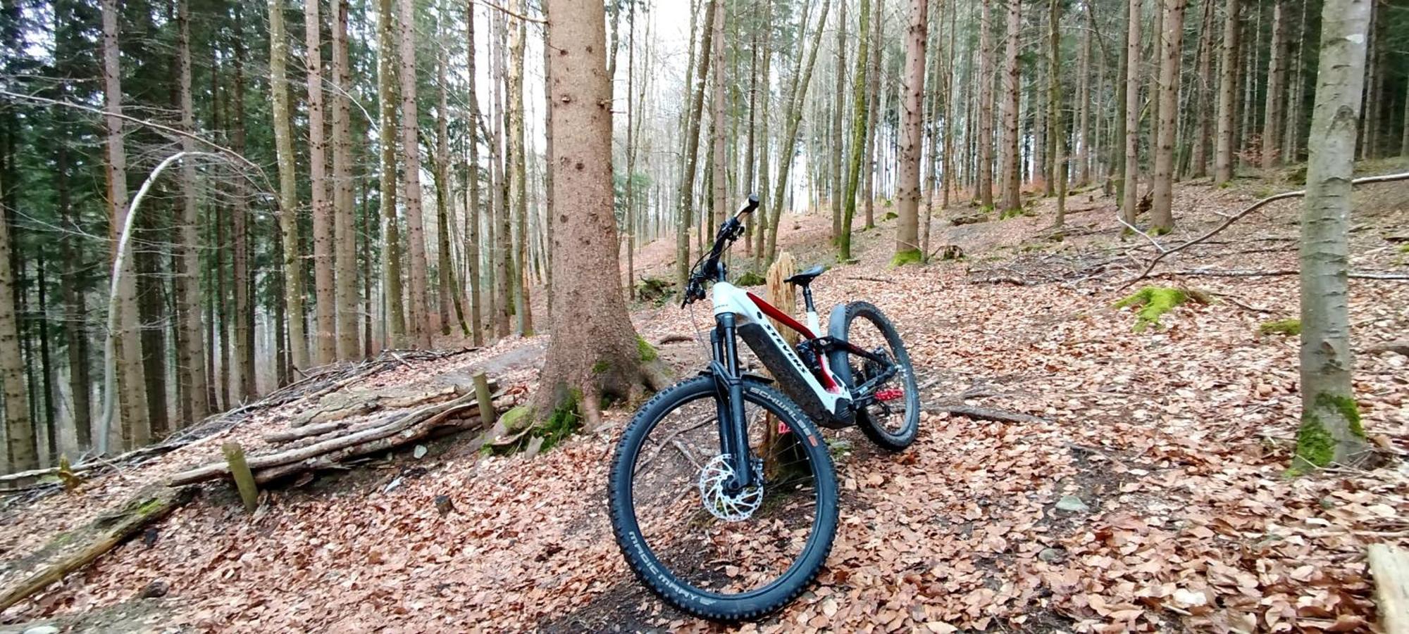 Wolfegg Ferienwohnung Hecht - Biketrail Fun & Relaxing מראה חיצוני תמונה